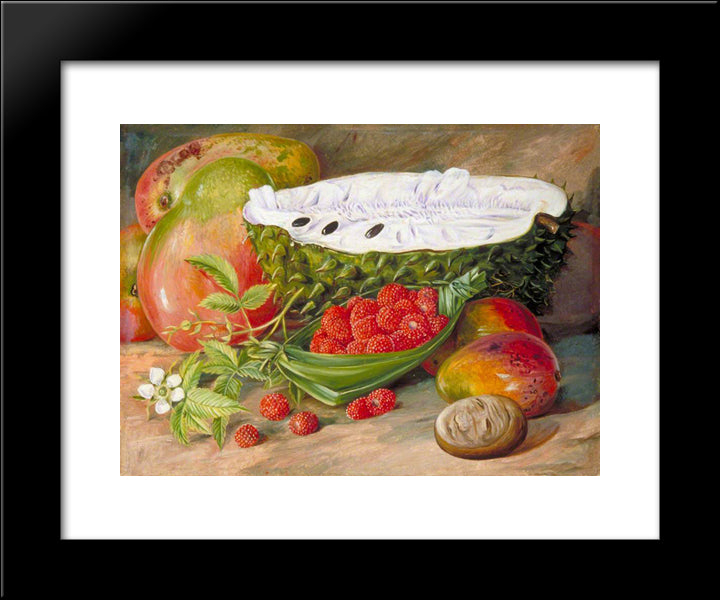 Fruit Grown In The Seychelles 20x24 Black Modern Wood Framed Art Print Poster by North, Marianne