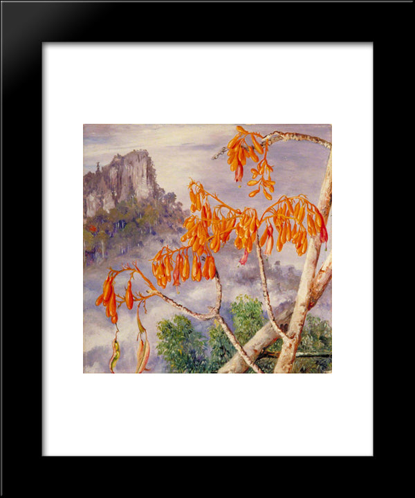 Limestone Mountains Of Sarawak, Borneo 20x24 Black Modern Wood Framed Art Print Poster by North, Marianne