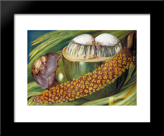 Male Inflorescence And Ripe Nuts Of The Coco De Mer, Seychelles 20x24 Black Modern Wood Framed Art Print Poster by North, Marianne