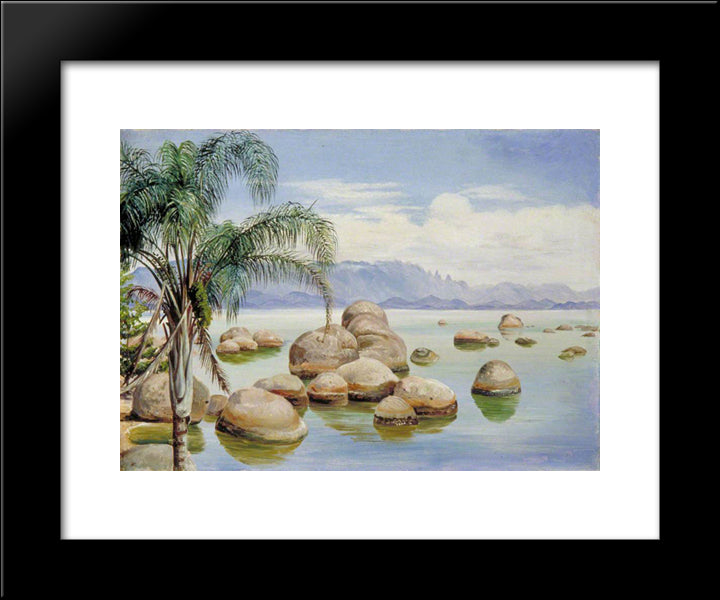 Palm Trees And Boulders In The Bay Of Rio, Brazil 20x24 Black Modern Wood Framed Art Print Poster by North, Marianne
