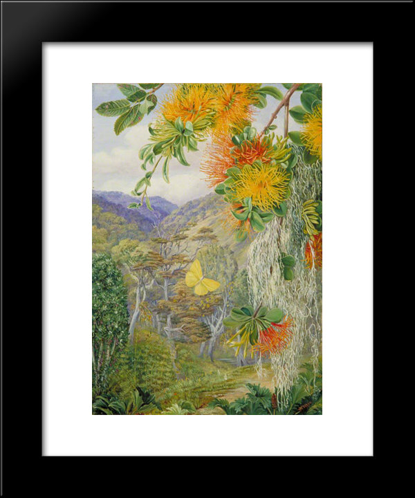 Parasites On Beech Trees, Chili 20x24 Black Modern Wood Framed Art Print Poster by North, Marianne
