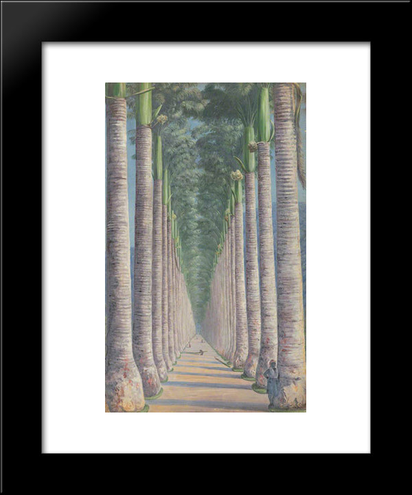Royal Palm Avenue 20x24 Black Modern Wood Framed Art Print Poster by North, Marianne