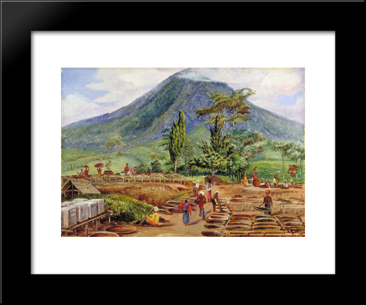 Tea-Drying In Mr Holle'S Establishment, Java 20x24 Black Modern Wood Framed Art Print Poster by North, Marianne