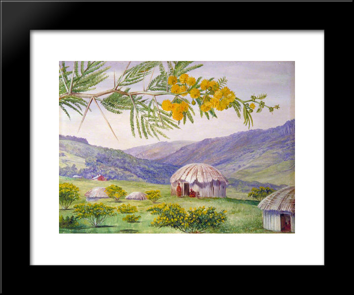 The South African Doornboom And Fingo Huts 20x24 Black Modern Wood Framed Art Print Poster by North, Marianne