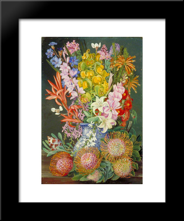 Wild Flowers Of Ceres, South Africa 20x24 Black Modern Wood Framed Art Print Poster by North, Marianne