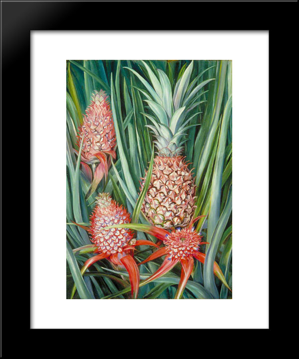 Wild Pine Apple In Flower And Fruit, Borneo 20x24 Black Modern Wood Framed Art Print Poster by North, Marianne