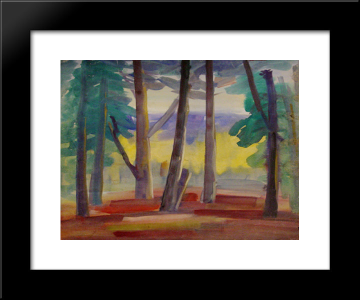 Landscape 20x24 Black Modern Wood Framed Art Print Poster by Zanini, Mario