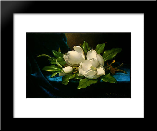 Giant Magnolias On A Blue Velvet Cloth 20x24 Black Modern Wood Framed Art Print Poster by Heade, Martin Johnson