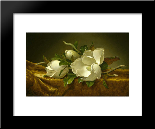 Magnolias On Gold Velvet Cloth 20x24 Black Modern Wood Framed Art Print Poster by Heade, Martin Johnson