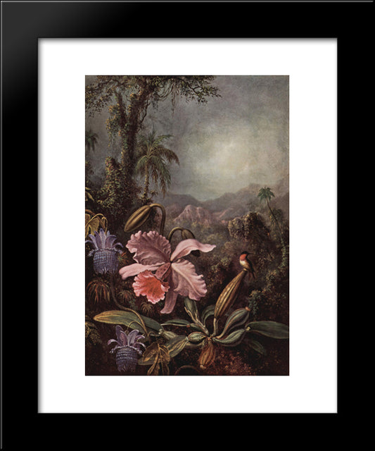 Orchid And Hummingbird 20x24 Black Modern Wood Framed Art Print Poster by Heade, Martin Johnson