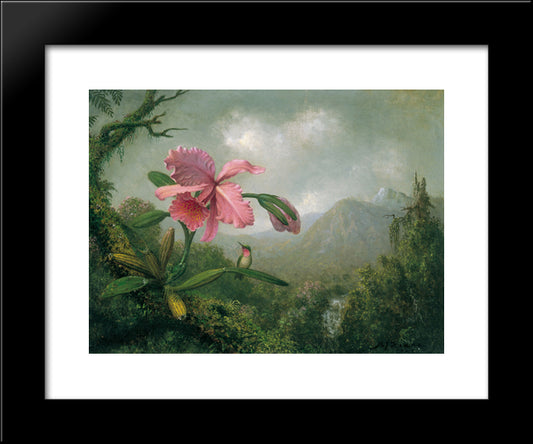 Orchid And Hummingbird Near A Mountain Waterfall 20x24 Black Modern Wood Framed Art Print Poster by Heade, Martin Johnson