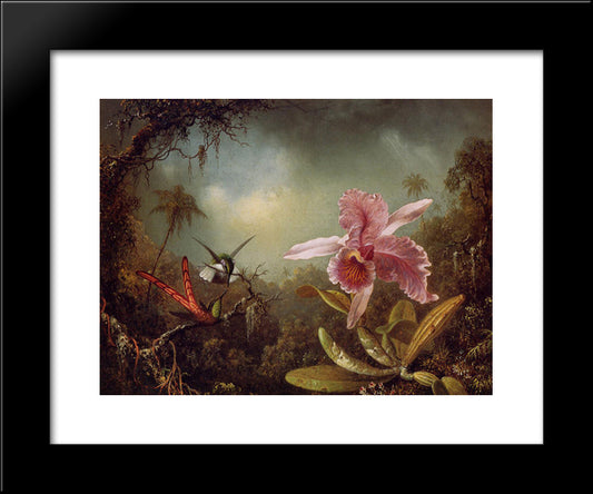 Orchid With Two Hummingbirds 20x24 Black Modern Wood Framed Art Print Poster by Heade, Martin Johnson