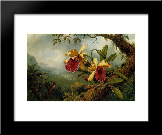 Orchids And Hummingbird 20x24 Black Modern Wood Framed Art Print Poster by Heade, Martin Johnson