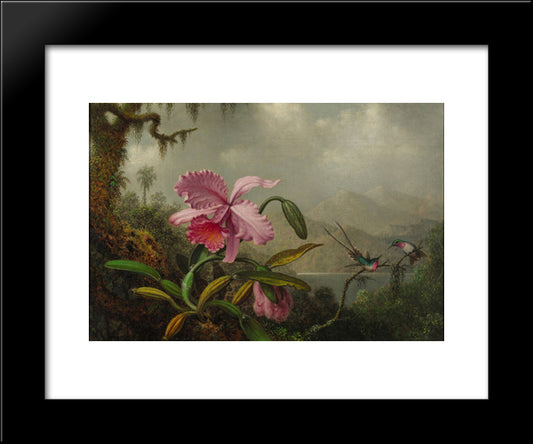 Orchids And Hummingbirds 20x24 Black Modern Wood Framed Art Print Poster by Heade, Martin Johnson