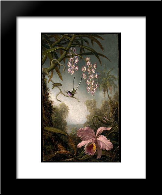 Orchids And Spray Orchids With Hummingbird 20x24 Black Modern Wood Framed Art Print Poster by Heade, Martin Johnson