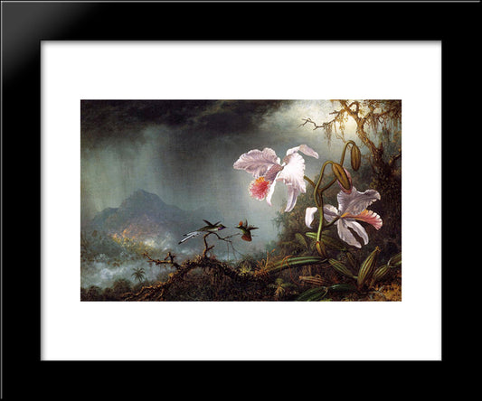 Two Fighting Hummingbirds With Two Orchids 20x24 Black Modern Wood Framed Art Print Poster by Heade, Martin Johnson