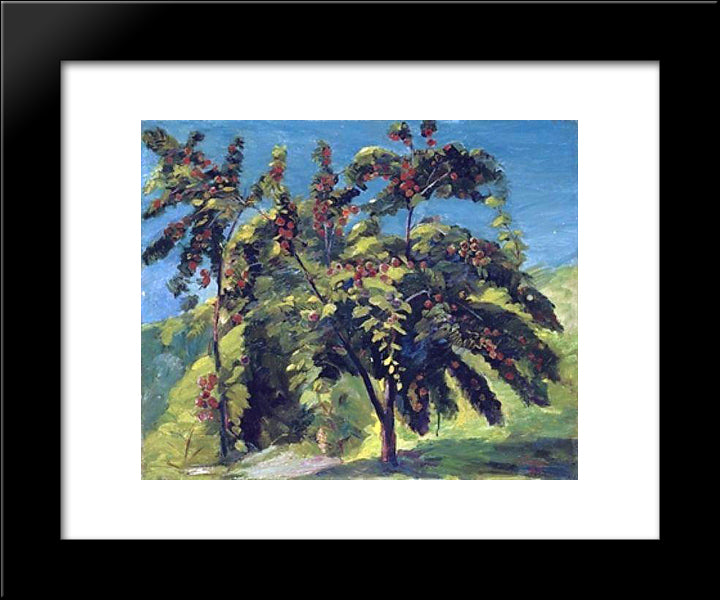 A Nook Of The Peach Garden 20x24 Black Modern Wood Framed Art Print Poster by Saryan, Martiros