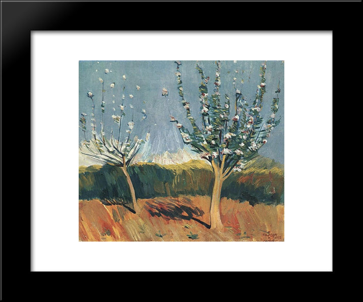 Apple Trees In Blossom 20x24 Black Modern Wood Framed Art Print Poster by Saryan, Martiros
