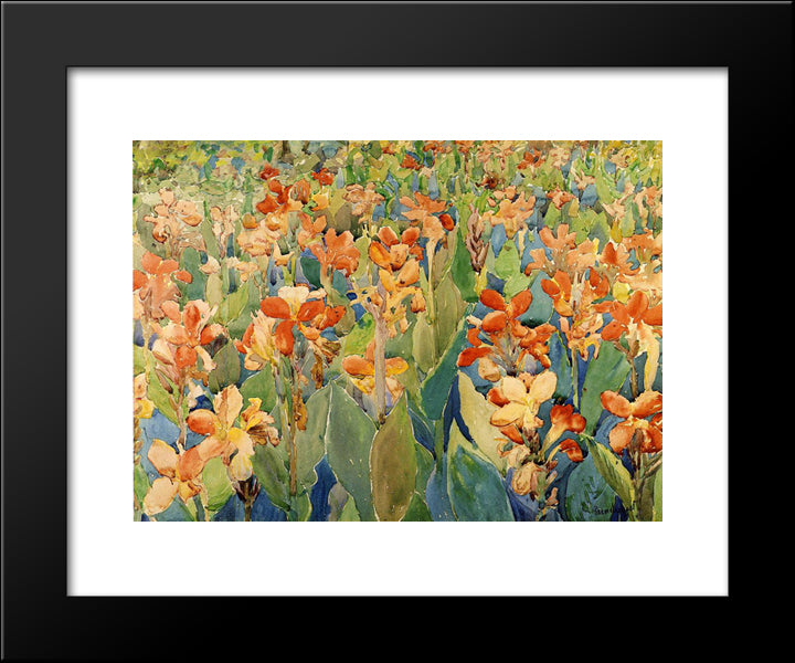 Bed Of Flowers (Also Known As Cannas Or The Garden) 20x24 Black Modern Wood Framed Art Print Poster by Prendergast, Maurice