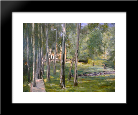 Birch Grow 20x24 Black Modern Wood Framed Art Print Poster by Liebermann, Max