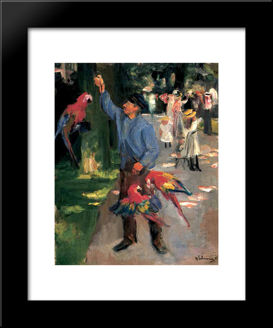 Man With Parrots 20x24 Black Modern Wood Framed Art Print Poster by Liebermann, Max