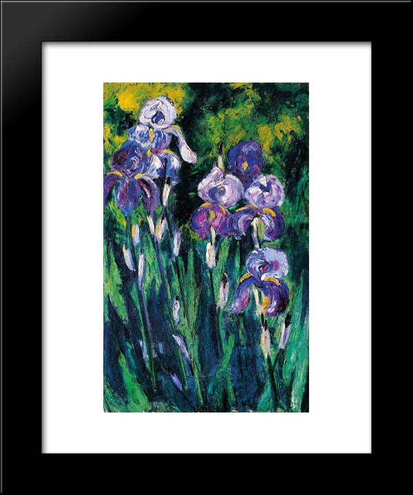 Irises In Evening Shadows 20x24 Black Modern Wood Framed Art Print Poster by Pechstein, Max