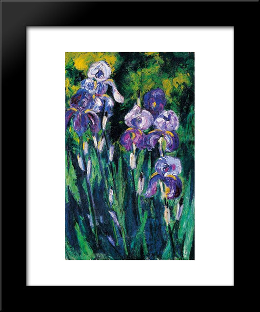Irises In Evening Shadows 20x24 Black Modern Wood Framed Art Print Poster by Pechstein, Max