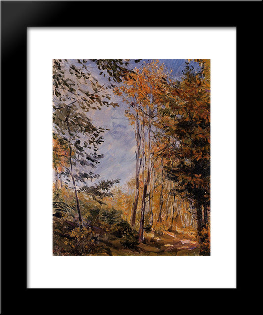 Autumn Forest 20x24 Black Modern Wood Framed Art Print Poster by Slevogt, Max