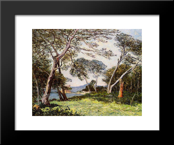 The Pines Of The Ile St. Morah 20x24 Black Modern Wood Framed Art Print Poster by Maufra, Maxime