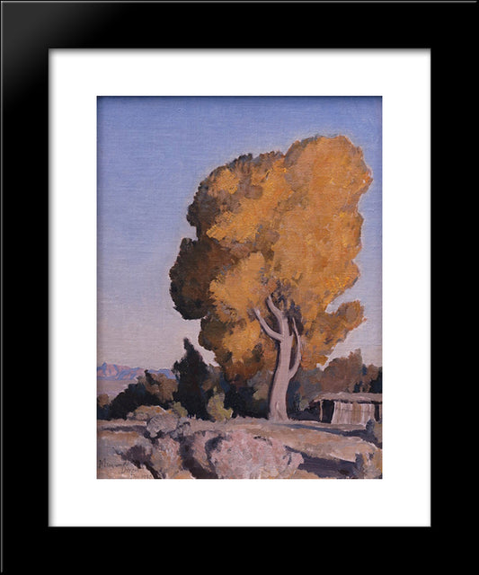 Low Country Cottonwood 20x24 Black Modern Wood Framed Art Print Poster by Maynard Dixon