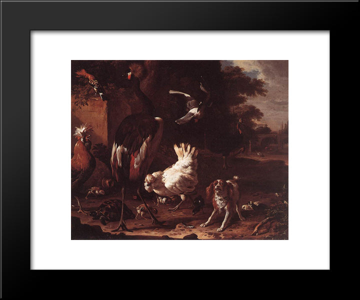 Birds And A Spaniel In A Garden 20x24 Black Modern Wood Framed Art Print Poster by Hondecoeter, Melchior de