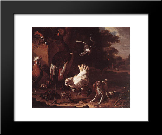 Birds And A Spaniel In A Garden 20x24 Black Modern Wood Framed Art Print Poster by Hondecoeter, Melchior de