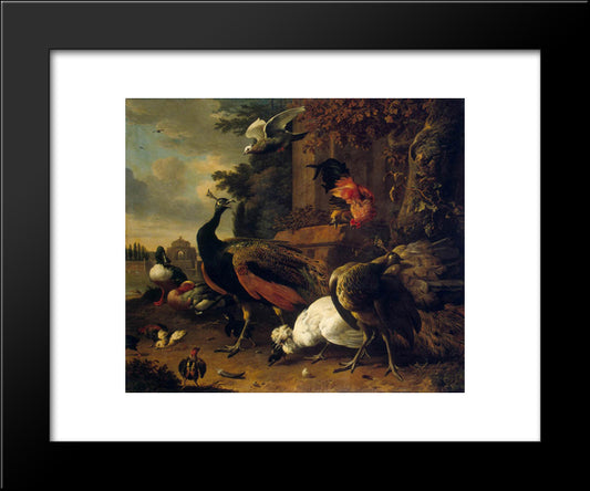 Birds In A Park 20x24 Black Modern Wood Framed Art Print Poster by Hondecoeter, Melchior de