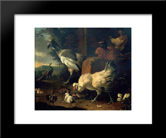 Domestic Fowl With A Pheasant And Peacocks 20x24 Black Modern Wood Framed Art Print Poster by Hondecoeter, Melchior de