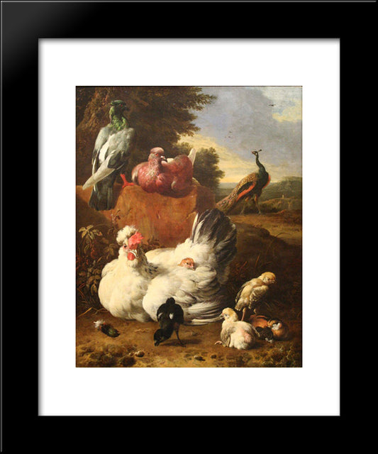 La Poule Blanche 20x24 Black Modern Wood Framed Art Print Poster by Hondecoeter, Melchior de
