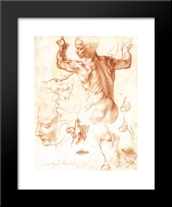 Study To The Libyan Sibyl 20x24 Black Modern Wood Framed Art Print Poster by Michelangelo