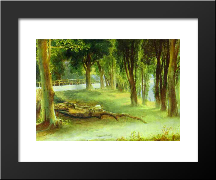 Albano. White Wall 20x24 Black Modern Wood Framed Art Print Poster by Lebedev, Mikhail