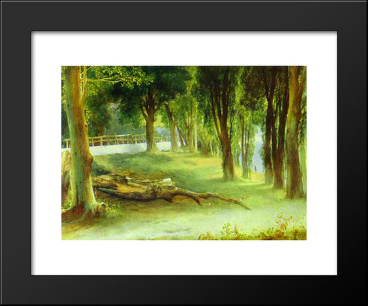 Albano. White Wall 20x24 Black Modern Wood Framed Art Print Poster by Lebedev, Mikhail