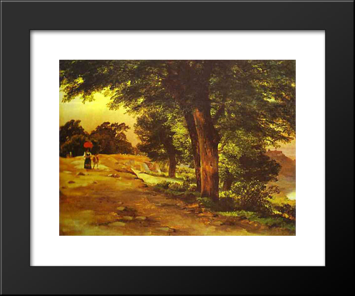 In Giji Park 20x24 Black Modern Wood Framed Art Print Poster by Lebedev, Mikhail
