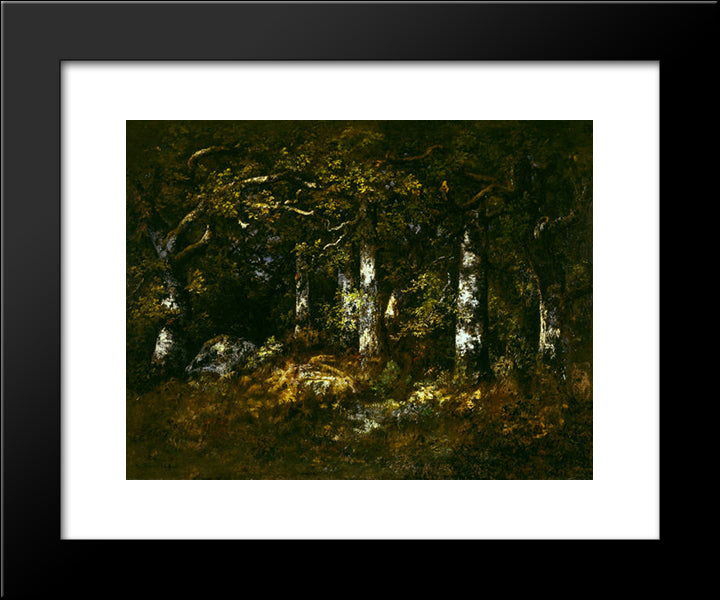 Forest Of Fontainebleau 20x24 Black Modern Wood Framed Art Print Poster by Diaz, Narcisse Virgilio