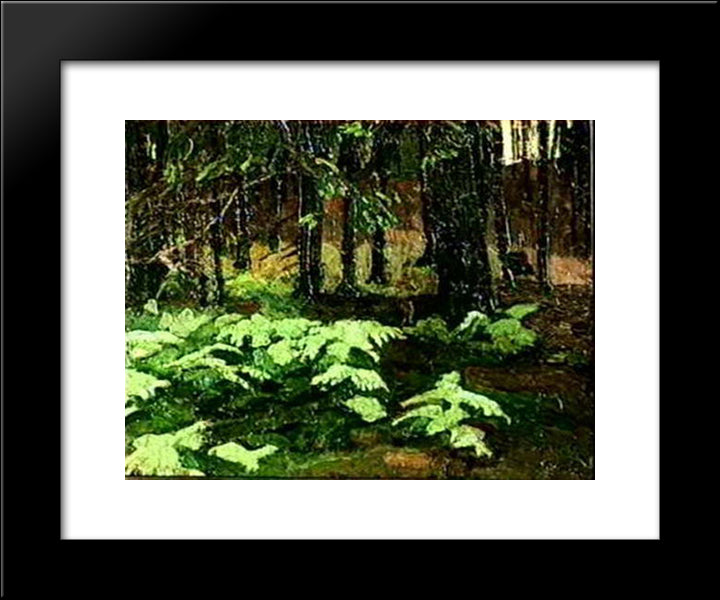 Ferns 20x24 Black Modern Wood Framed Art Print Poster by Roerich, Nicholas