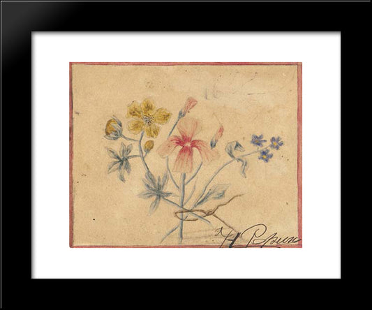 Study Of Flowers 20x24 Black Modern Wood Framed Art Print Poster by Roerich, Nicholas