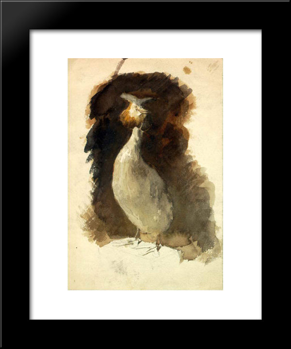Stuffed Grouse 20x24 Black Modern Wood Framed Art Print Poster by Roerich, Nicholas