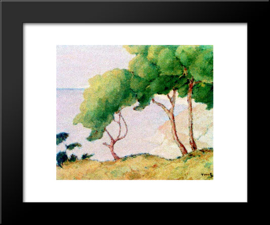 Forest Edge (Balcic) 20x24 Black Modern Wood Framed Art Print Poster by Tonitza, Nicolae