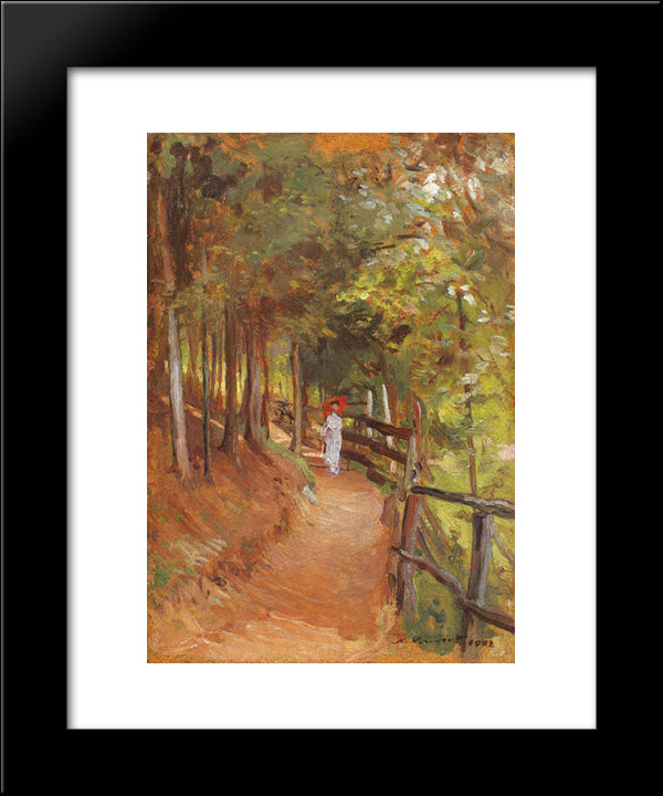 A Walk Through Sinaia Forest 20x24 Black Modern Wood Framed Art Print Poster by Vermont, Nicolae