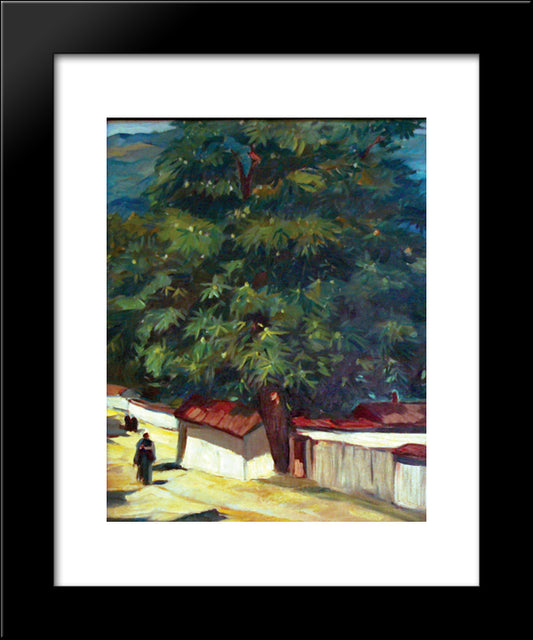 Street In Karlovo 20x24 Black Modern Wood Framed Art Print Poster by Tanev, Nikola
