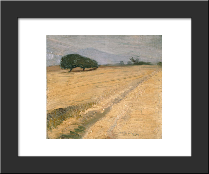 Field With Haystacks 20x24 Black Modern Wood Framed Art Print Poster by Lytras, Nikolaos