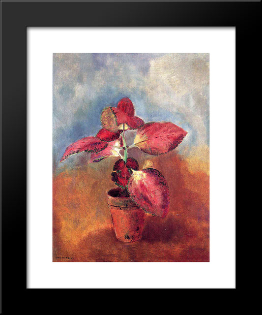 Begonia In A Pot 20x24 Black Modern Wood Framed Art Print Poster by Redon, Odilon