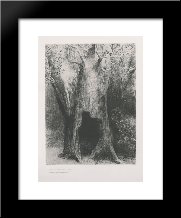 I Plunged Into Solitude. I Dwelt In The Tree Behind Me. (Plate 9) 20x24 Black Modern Wood Framed Art Print Poster by Redon, Odilon