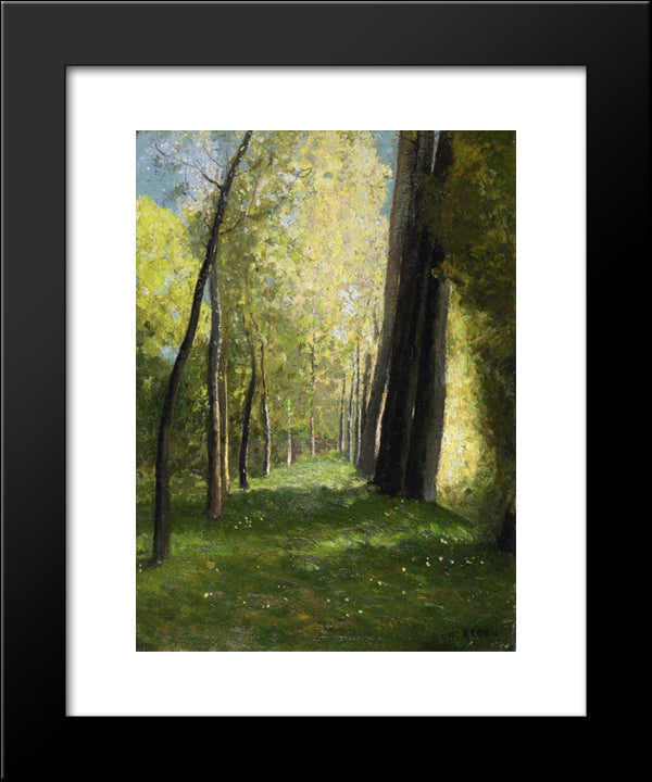 Lane Of Trees 20x24 Black Modern Wood Framed Art Print Poster by Redon, Odilon